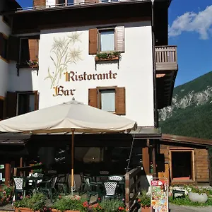 Stella Alpina San Pietro di Cadore